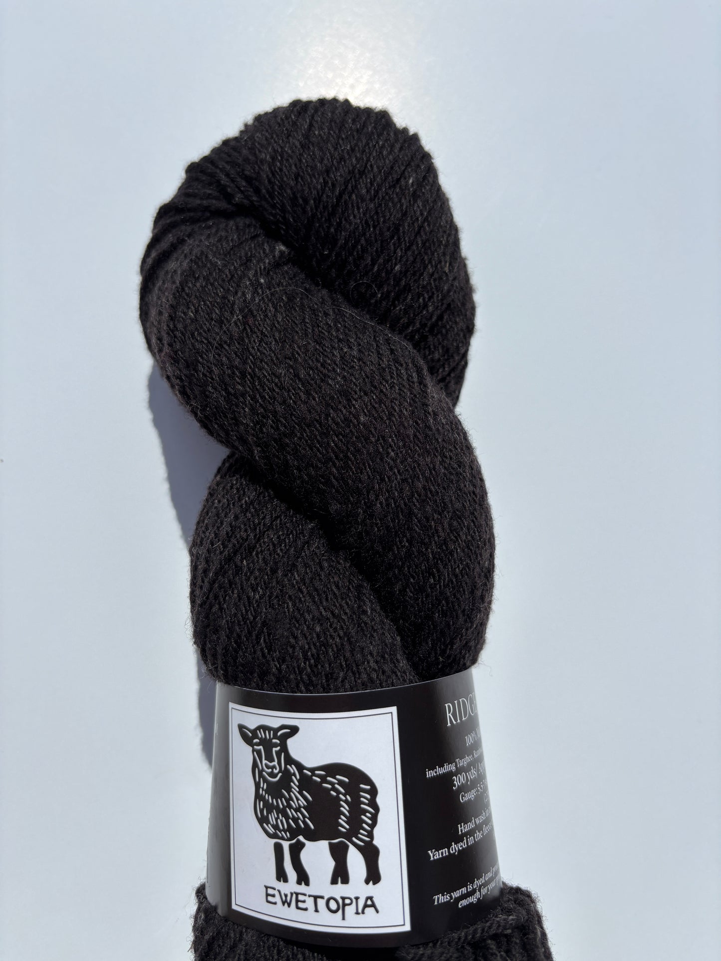Ridge Sport - Ewetopia