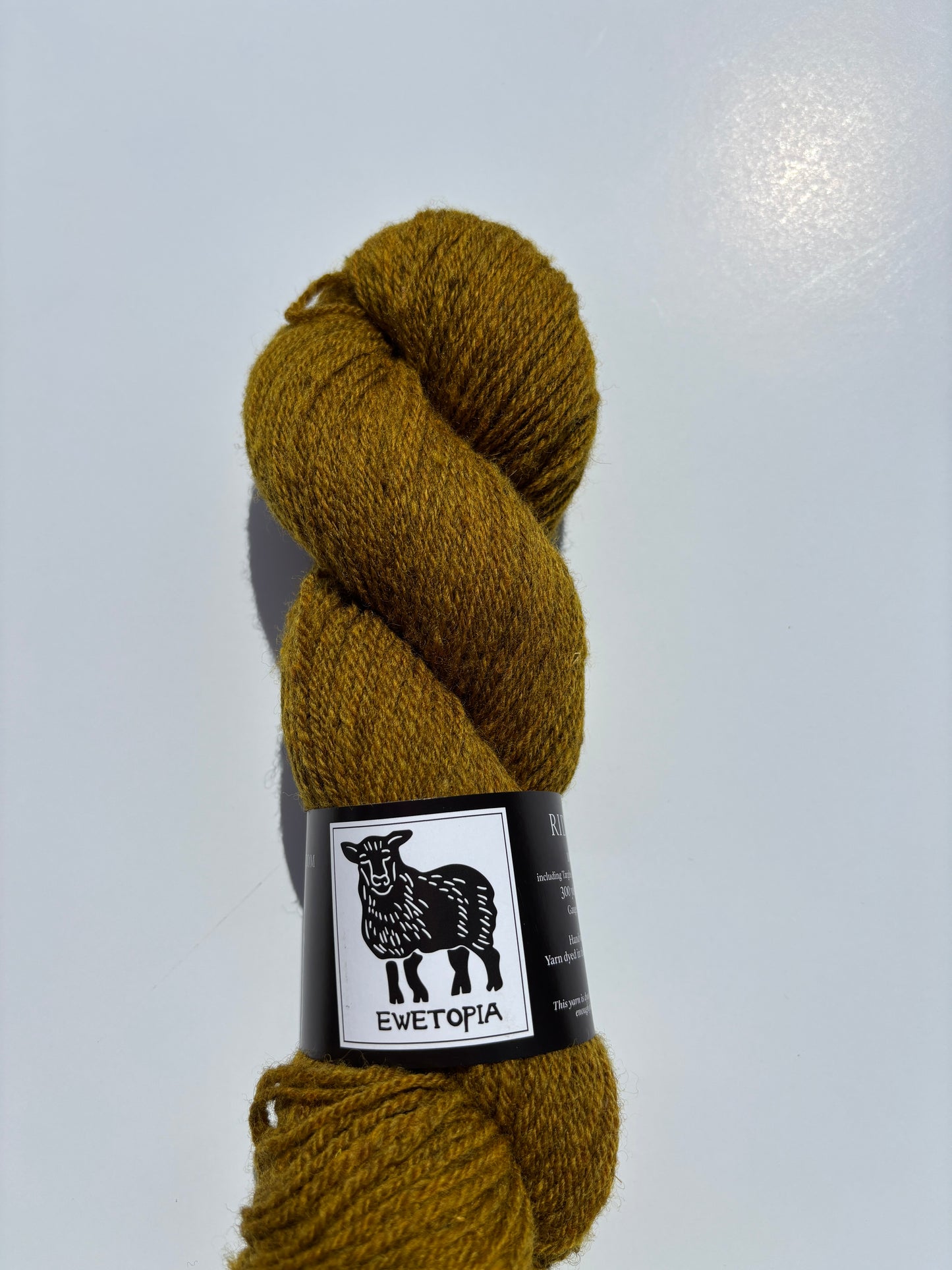 Ridge Sport - Ewetopia