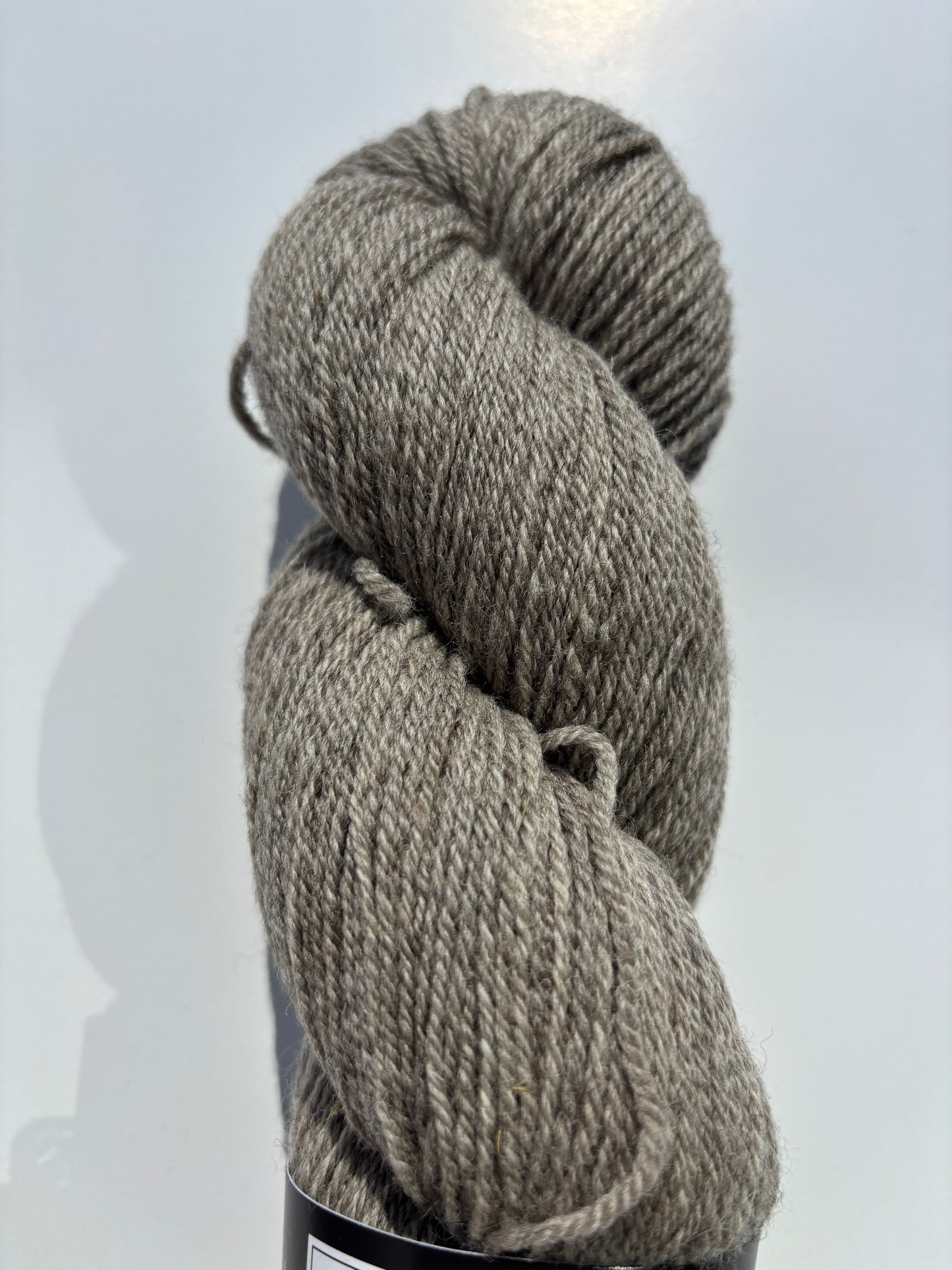 Ridge Sport - Ewetopia