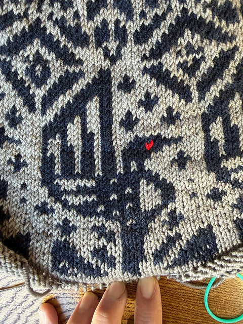 Sweater Club - Minnesota Loon Sweater