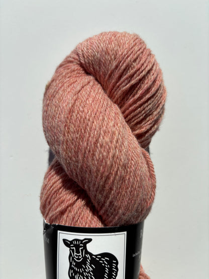 Ridge Sport - Ewetopia