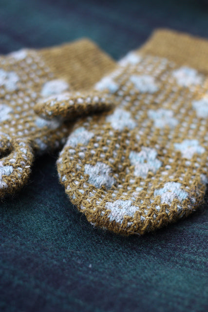 Pressed Flowers-a-Long: Thursdays - 8/6, 8/13 + 8/27  6:00 - 8:00pm