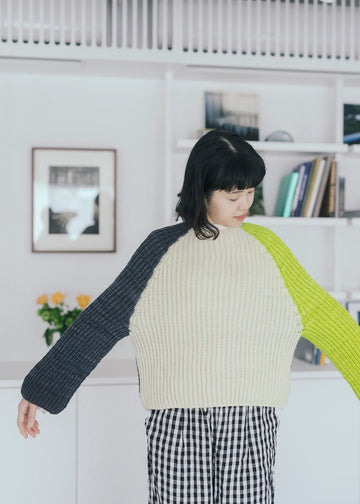 Amirisu Assemblage - Volume 2 / 2025