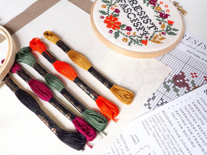 Resist Fascism Kit