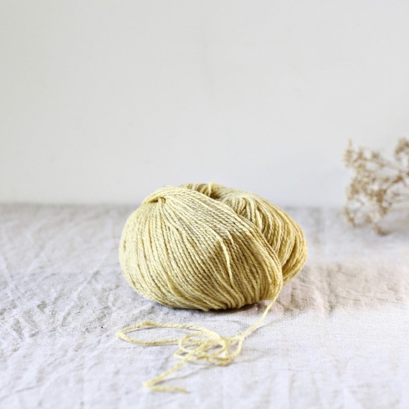 Ulysse - De Rerum Natura