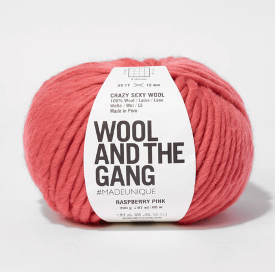 Crazy Sexy Wool - Wool and the Gang – Dandelion Fiber Company